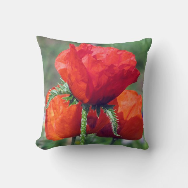 Poppies Grade A Cotton Throw Pillow 16x16 (Front)
