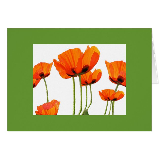 Poppies! Green Frame (Front Horizontal)