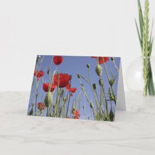 Poppies - Greeting Card