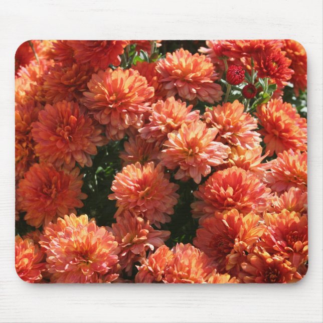 Poppies I Mouse Pad (Front)
