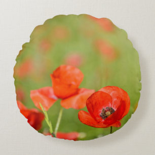 Poppies in a poppy field round pillow