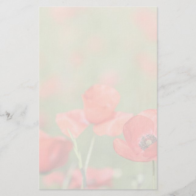 Poppies in a poppy field stationery (Front)