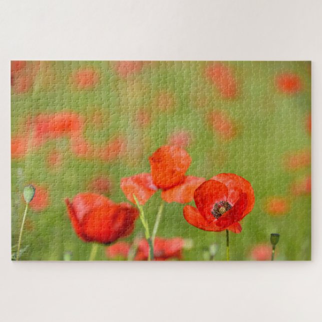 Poppies in a poppy flower field jigsaw puzzle (Horizontal)