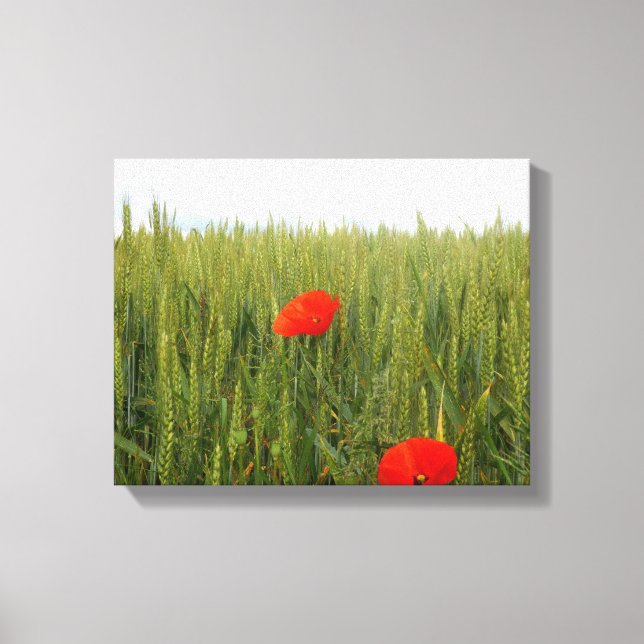 Poppies in a Wheat Field Canvas Print (Front)