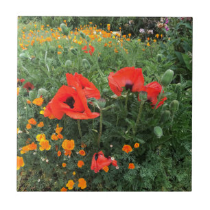 Poppies in an English Garden  Tile
