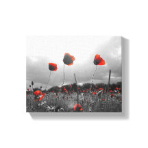 Poppies in Black,White and Red