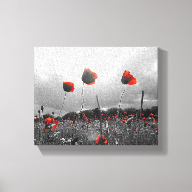 Poppies in Black,White and Red Canvas Print (Front)