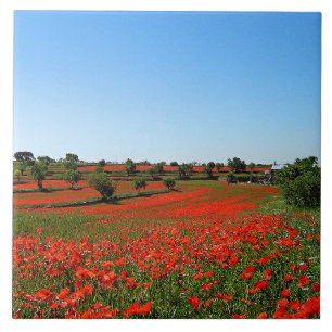 Poppies in Bloom Tile