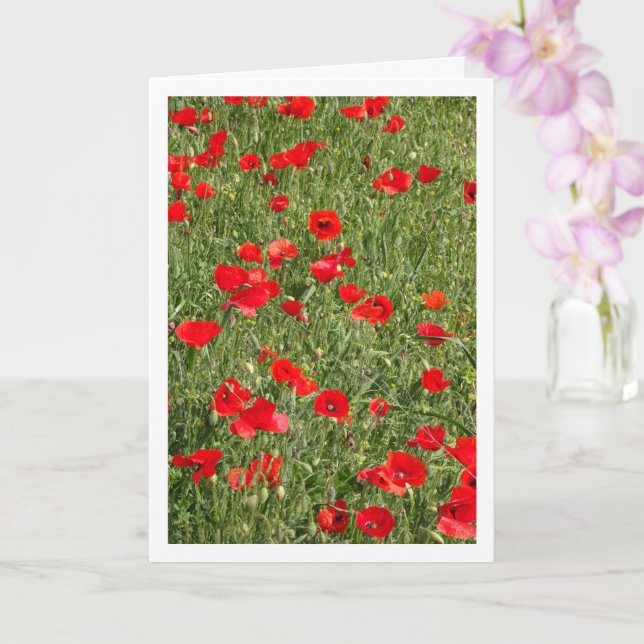 Poppies in Field Card (Orchid)