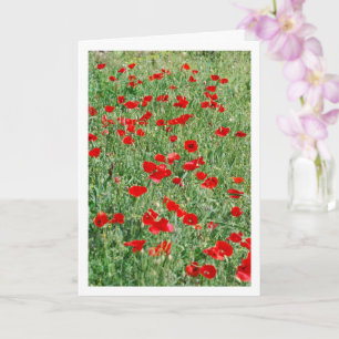 Poppies in Field Card