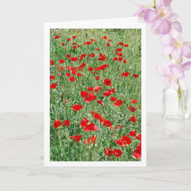 Poppies in Field Card (Orchid)