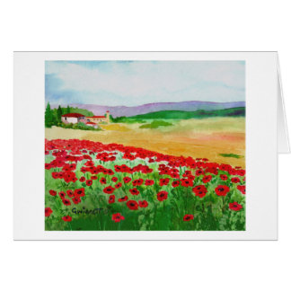 Poppies In Tuscany