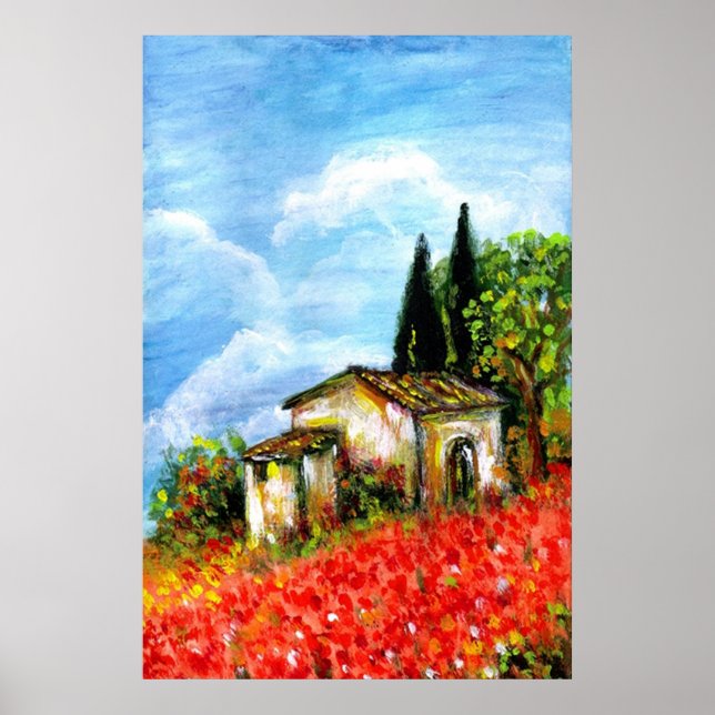 POPPIES IN TUSCANY POSTER (Front)