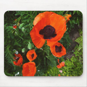 Poppies Mousepad