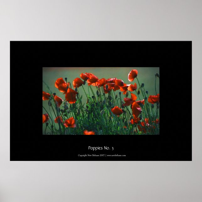 Poppies No. 3 | Large Poster (Front)