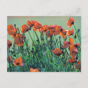 Poppies No. 4   Postcard