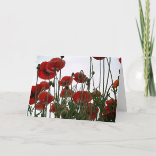 poppies notecard