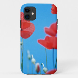Poppies of Provence iPhone 11 Case