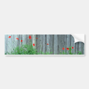 Poppies on a wall bumper sticker