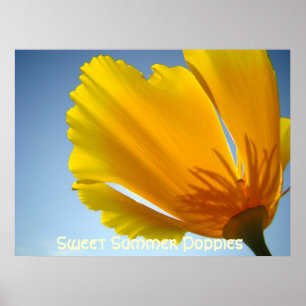 POPPIES Orange Poppy Flowers 13 Art Prints Posters