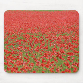 Poppies - thousands! mouse pad