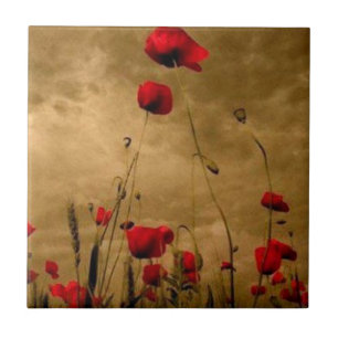 Poppies Tile
