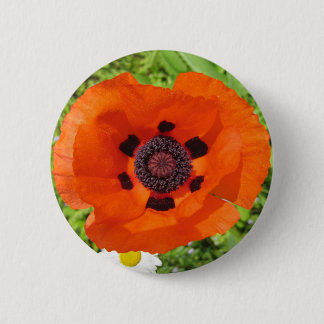 Poppy 2 Inch Round Button