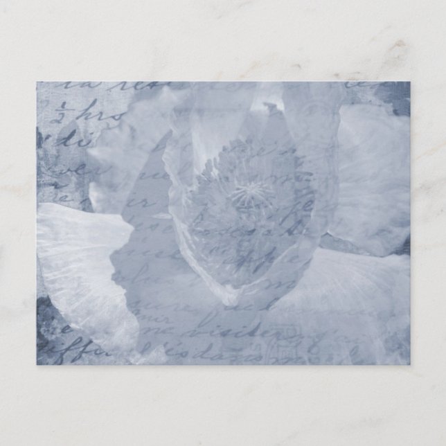 Poppy 2 postcard (Front)