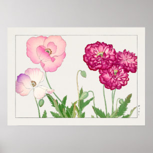 Poppy #3, Red Pink and Purple, by Tanigami Konan, Poster