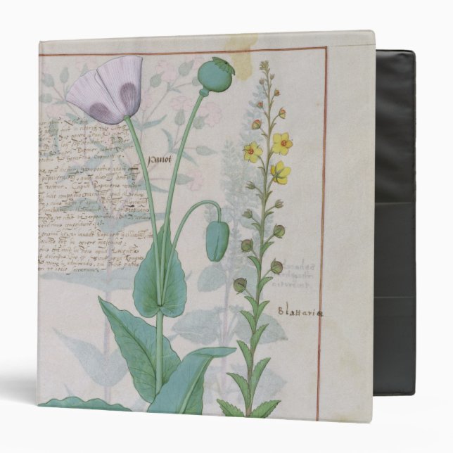 Poppy and Figwort Binder (Front/Inside)