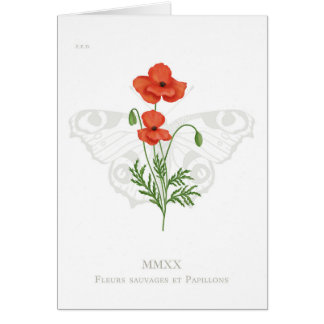 Poppy and peacock butterfly card
