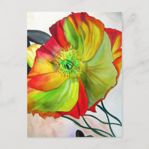 Poppy Art macro poppy Postcard
