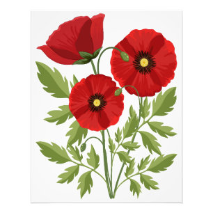 Poppy blooming joyful Summer Flowers Photo Print