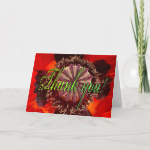 Poppy Blossom - Thank You Card