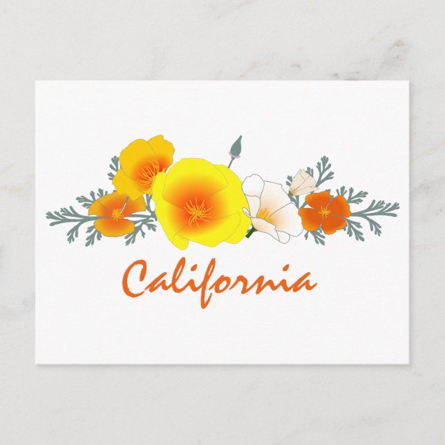 Poppy Bouquet with California Text Postcard (Front)