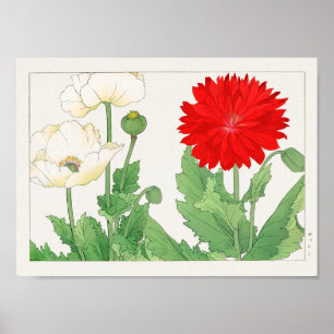 Poppy by Tanigami Konan Poster