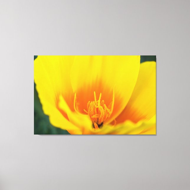 Poppy Canvas Print (Front)