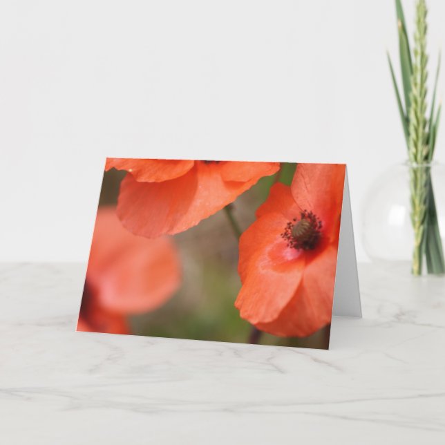Poppy Card (Front)