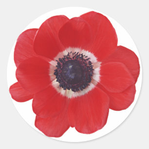 Poppy Classic Round Sticker