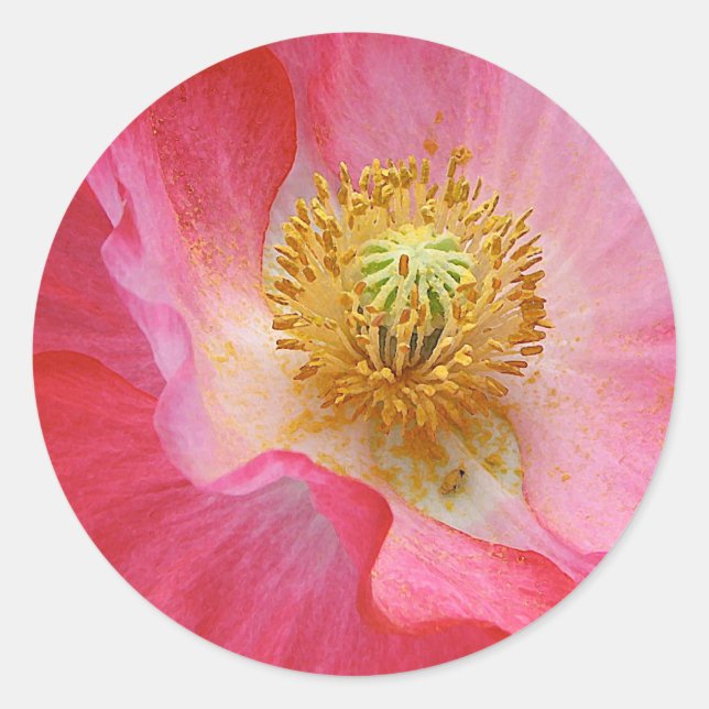 Poppy Classic Round Sticker (Front)