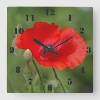 Poppy Clock