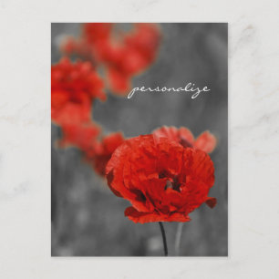 Poppy Comet Postcard