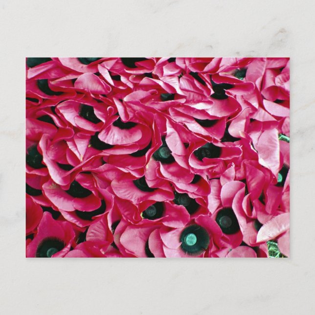Poppy day postcard (Front)