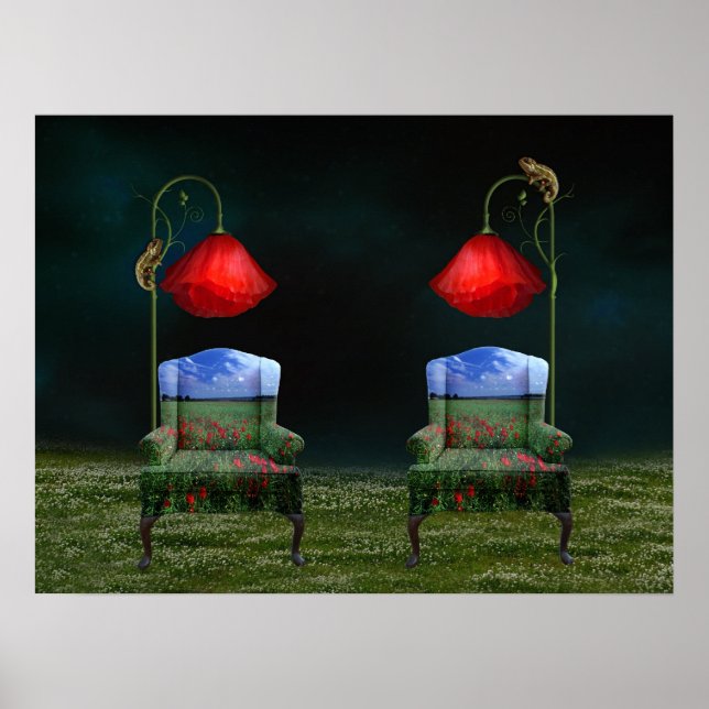 Poppy Dreams & Chameleon Schemes Poster (Front)