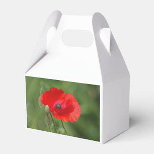 Poppy Favor Box