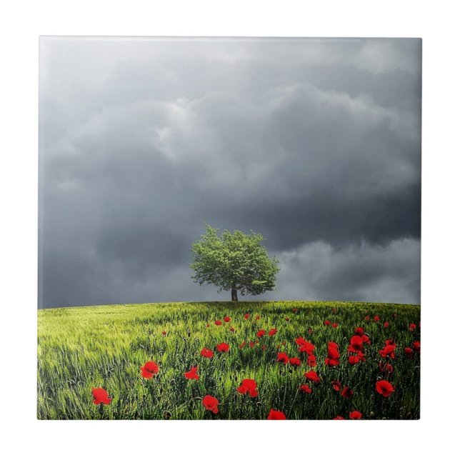 Poppy Field and Cloudy Sky Tile (Front)