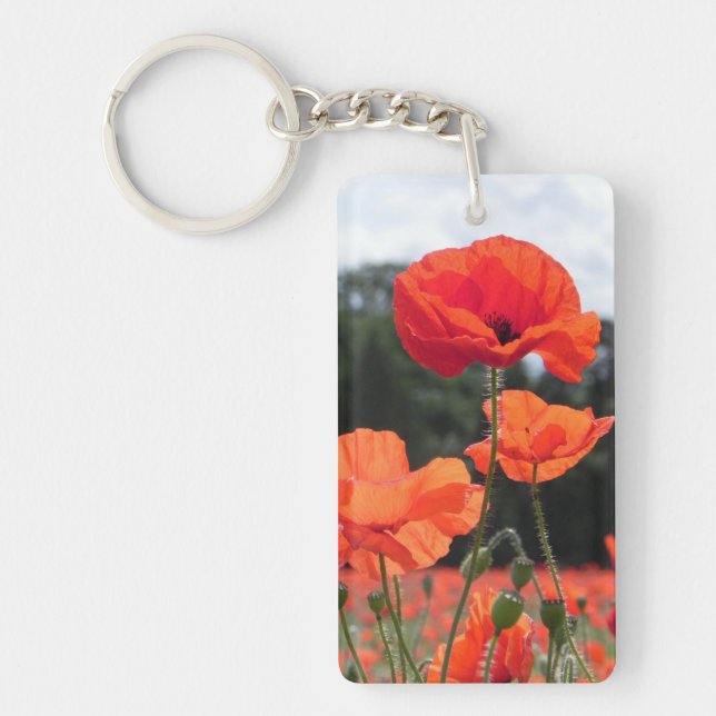 Poppy Field, beautiful blooms, (Devant)