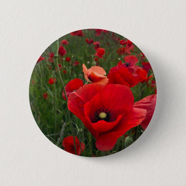 Poppy Field Button Badge (Front)