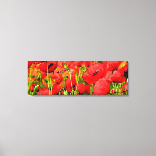 Poppy Field Canvas Print