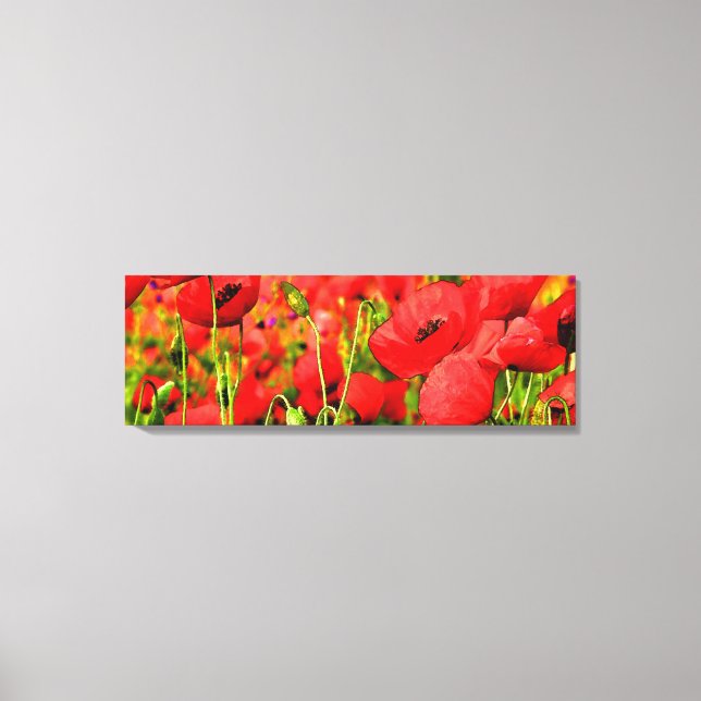 Poppy Field Canvas Print (Front)